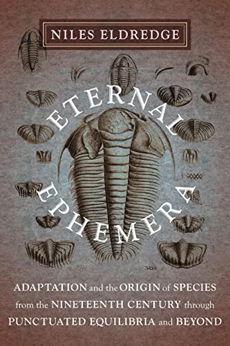 Beispielbild fr Eternal Ephemera : Adaptation and the Origin of Species from the Nineteenth Century Through Punctuated Equilibria and Beyond zum Verkauf von Better World Books