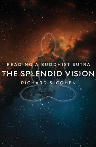 9780231156684: The Splendid Vision: Reading a Buddhist Sutra