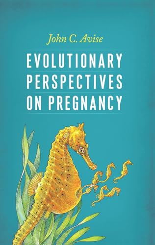 Imagen de archivo de Evolutionary Perspectives on Pregnancy a la venta por Chiron Media