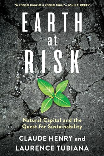 Imagen de archivo de Earth at Risk : Natural Capital and the Quest for Sustainability a la venta por Better World Books: West