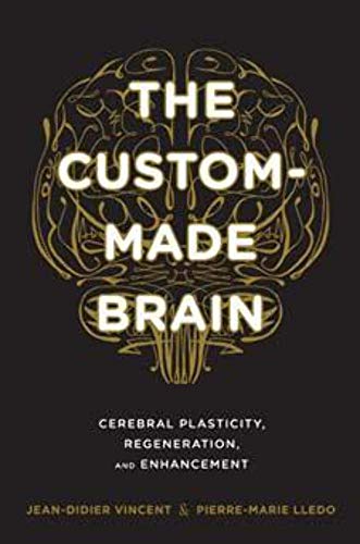 9780231164504: The Custom-Made Brain: Cerebral Plasticity, Regeneration, and Enhancement
