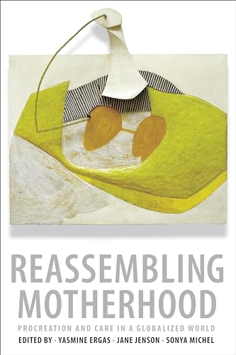 9780231170512: Reassembling Motherhood: Procreation and Care in a Globalized World