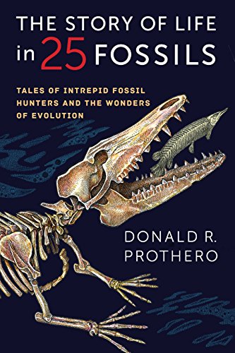Stock image for The Story of Life in 25 Fossils: Tales of Intrepid Fossil Hunters and the Wonders of Evolution for sale by HPB-Diamond