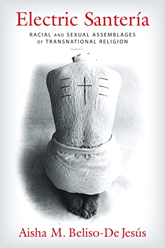 Stock image for Electric Santeria: Racial and Sexual Assemblages of Transnational Religion for sale by THE SAINT BOOKSTORE