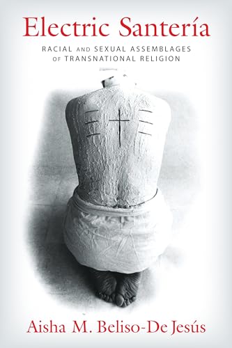 Imagen de archivo de Electric Santera: Racial and Sexual Assemblages of Transnational Religion (Gender, Theory, and Religion) a la venta por Books Unplugged