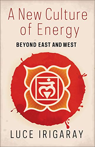 Imagen de archivo de A New Culture of Energy a la venta por Blackwell's