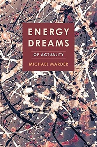9780231180580: Energy Dreams: Of Actuality