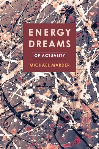 9780231180597: Energy Dreams: Of Actuality