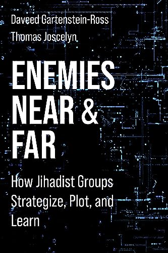 9780231195249: Enemies Near and Far: How Jihadist Groups Strategize, Plot, and Learn