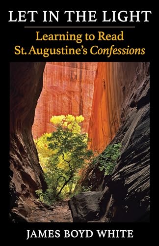 9780231205009: Let in the Light: Learning to Read St. Augustine's Confessions