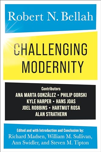 9780231214889: Challenging Modernity