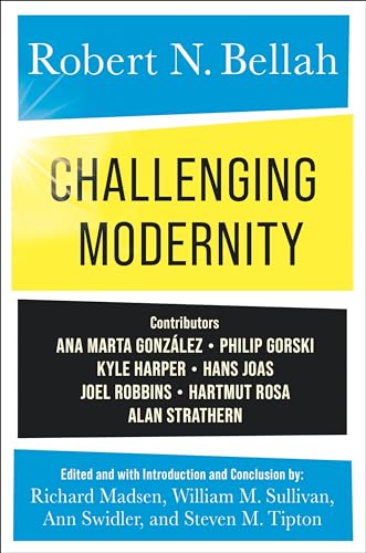 Stock image for Challenging Modernity (Paperback) for sale by Grand Eagle Retail