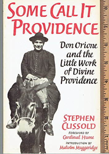Stock image for Some Call It Providence for sale by Lady Lisa's Bookshop