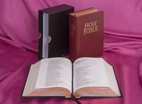 Imagen de archivo de NJB Pocket Edition Red Leather Bible (New Jerusalem Bible) a la venta por Books of the Smoky Mountains