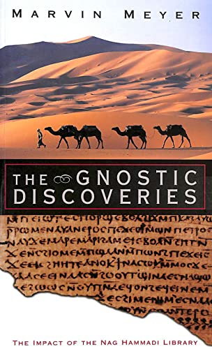 9780232526721: Gnostic Discoveries: The Impact of the Nag Hammadi Library