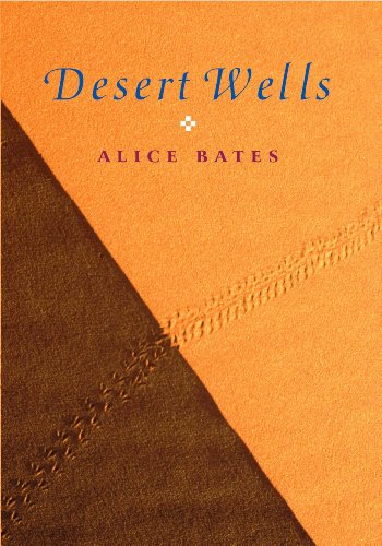 Imagen de archivo de Desert Wells a la venta por WorldofBooks