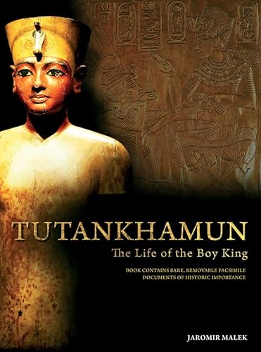 Beispielbild fr Tutankhamun: The Life of the Boy King (Treasures and Experiences Series) zum Verkauf von WorldofBooks