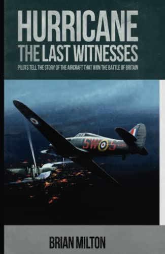 Beispielbild fr Hurricane: The Last Witnesses zum Verkauf von Books From California