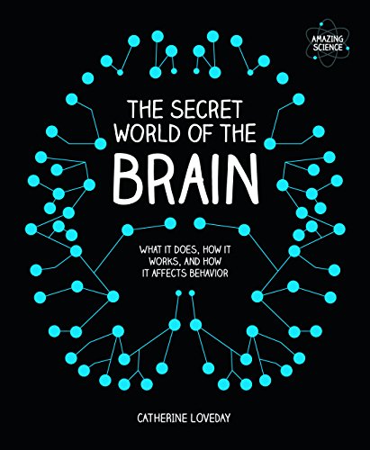 Imagen de archivo de The Secret World of the Brain a la venta por Zoom Books Company