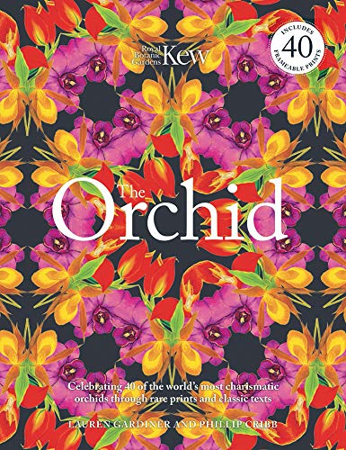 Stock image for The Orchid (Royal Botanical Gardens, Kew): Royal Botanic Gardens, Kew (The Orchid: Royal Botanic Gardens, Kew) for sale by WorldofBooks