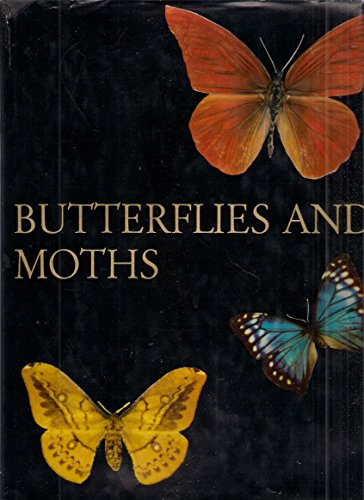 Butterflies and moths (9780233962658) by Werner, Alfred