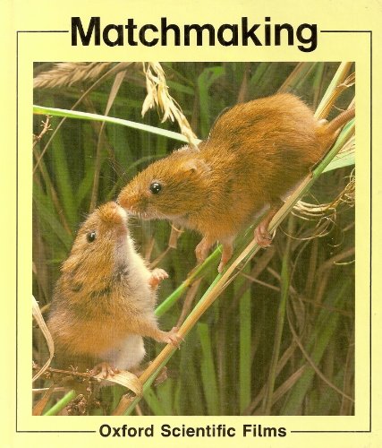 Stock image for Matchmaking for sale by MusicMagpie