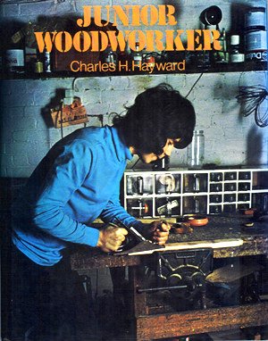 9780237446130: Junior Woodworker