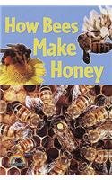 9780237529338: How Bees Make Honey