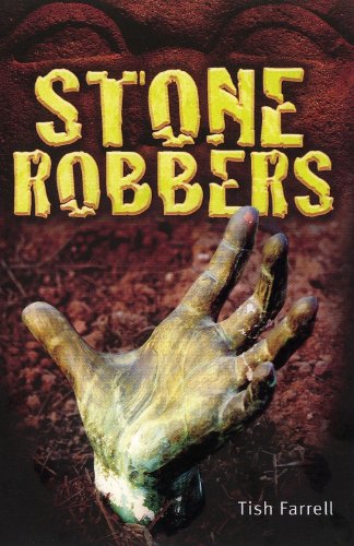9780237538088: Stone Robbers (Shades)