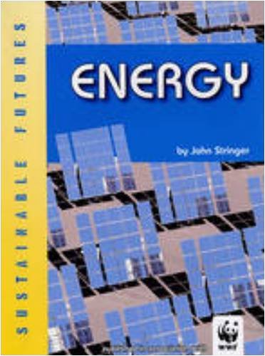 Beispielbild fr Energy (Sustainable Futures) zum Verkauf von WorldofBooks