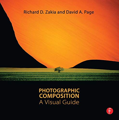 Stock image for Photographic Composition: A Visual Guide for sale by More Than Words