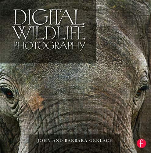 Imagen de archivo de Digital Wildlife Photography a la venta por Jenson Books Inc