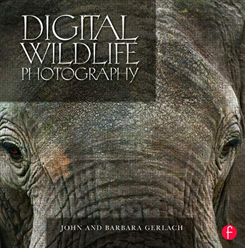 Stock image for Digital Wildlife Photography for sale by Jenson Books Inc