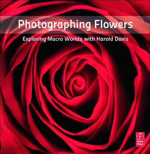 Beispielbild fr Photographing Flowers: Exploring Macro Worlds with Harold Davis zum Verkauf von BooksRun