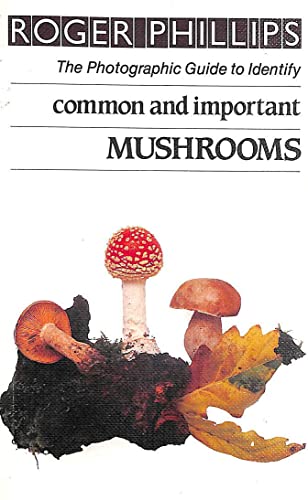 Stock image for Common And Important Mushrooms (The photographic guide to identity) for sale by WorldofBooks