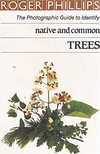 Stock image for Native and Common Trees (The photographic guide to identity) for sale by AwesomeBooks