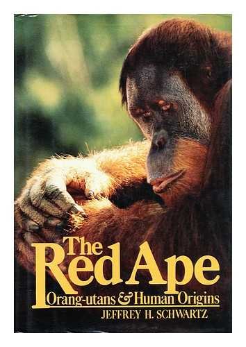 Stock image for Red Ape Orangutans and Human Origins for sale by Wonder Book