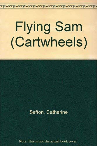 9780241119150: Flying Sam