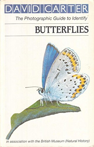 Beispielbild fr Butterflies (Roger Phillips guides) zum Verkauf von WorldofBooks