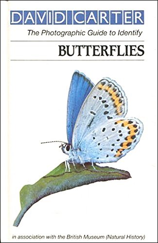 9780241121603: Butterflies (Roger Phillips guides)