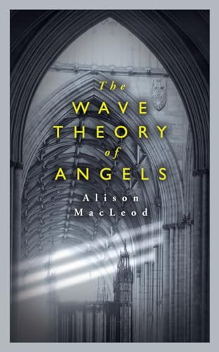 Beispielbild fr The Wave Theory of Angels zum Verkauf von WorldofBooks