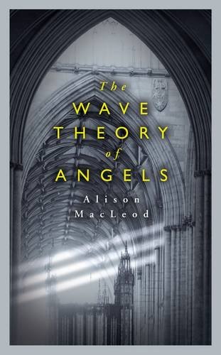 9780241142615: The Wave Theory of Angels