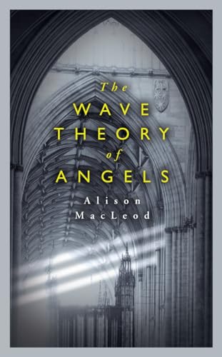 Stock image for The Wave Theory of Angels for sale by WorldofBooks