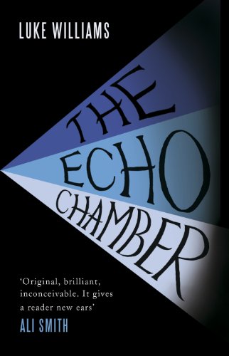 9780241143001: The Echo Chamber