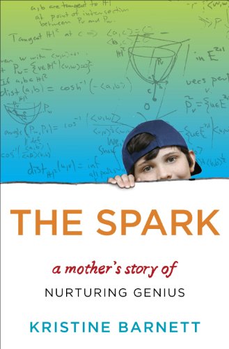Imagen de archivo de The Spark: A Mother's Story of Nurturing Genius a la venta por WorldofBooks