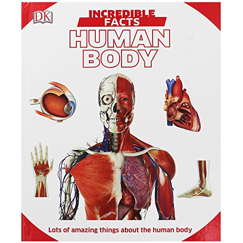 Beispielbild fr Incredible Facts - Human Body zum Verkauf von WorldofBooks