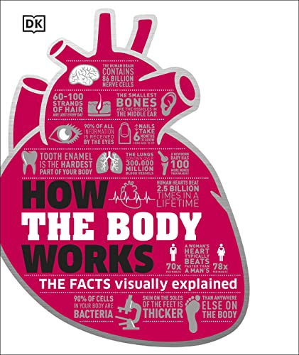 9780241188019: How The Body Works: The Facts Simply Explained (DK How Stuff Work)