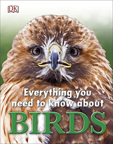 Stock image for Everything You Need to Know About Birds for sale by WorldofBooks