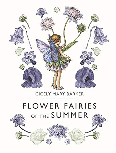 9780241284551: Flower Fairies of the Summer