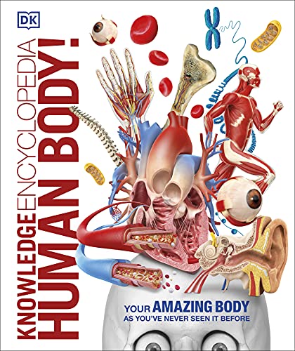 Stock image for Knowledge Encyclopedia Human Body! (Knowledge Encyclopedias) for sale by WorldofBooks